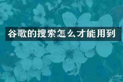 谷歌的搜索怎么才能用到