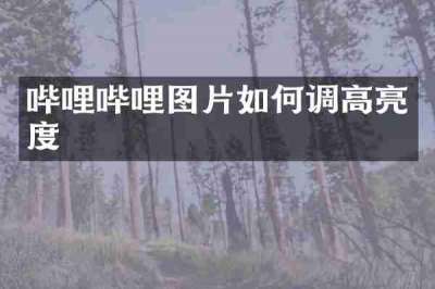 哔哩哔哩图片如何调高亮度