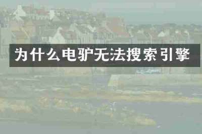 为什么电驴无法搜索引擎
