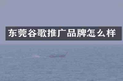 东莞谷歌推广品牌怎么样