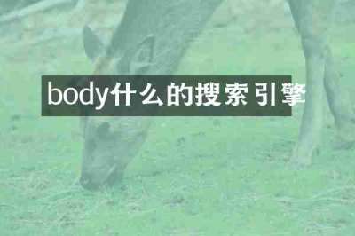 body什么的搜索引擎