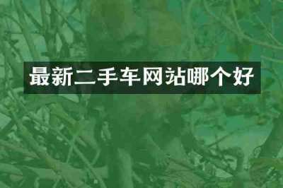 最新二手车网站哪个好