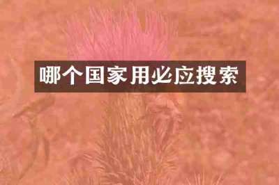 哪个国家用必应搜索