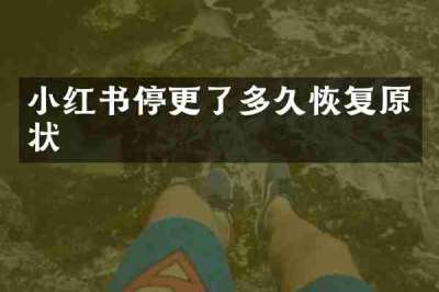 小红书停更了多久恢复原状