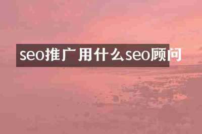 seo推广用什么seo顾问