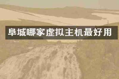 阜城哪家虚拟主机最好用