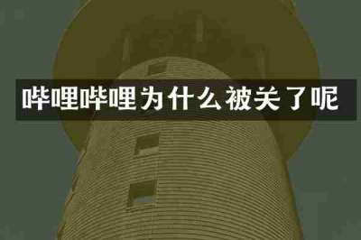 哔哩哔哩为什么被关了呢