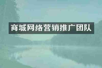 商城网络营销推广团队