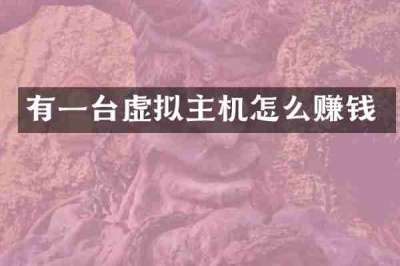 有一台虚拟主机怎么赚钱
