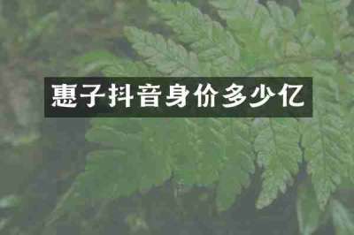 惠子抖音身价多少亿