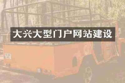 大兴大型门户网站建设