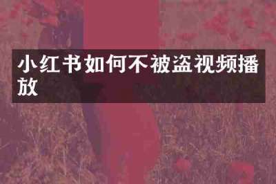 小红书如何不被盗视频播放