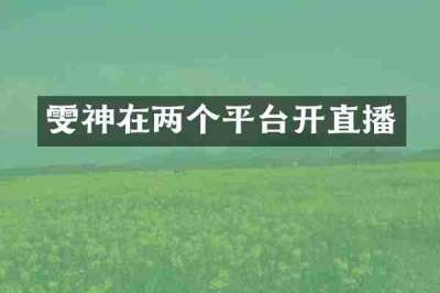 雯神在两个平台开直播