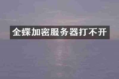 金蝶加密服务器打不开