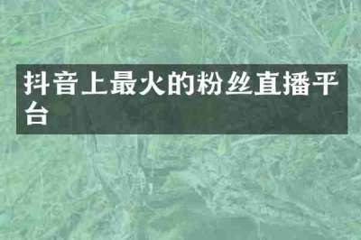 抖音上最火的粉丝直播平台