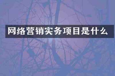 网络营销实务项目是什么
