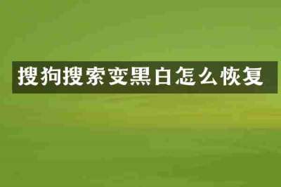搜狗搜索变黑白怎么恢复