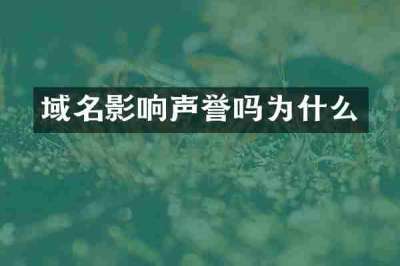 域名影响声誉吗为什么