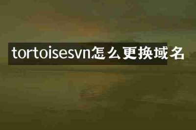 tortoisesvn怎么更换域名