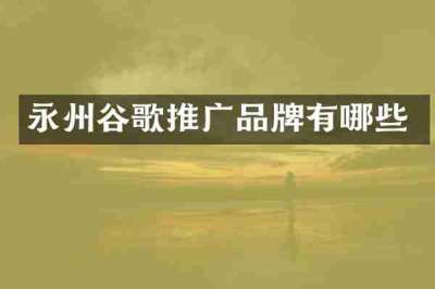 永州谷歌推广品牌有哪些