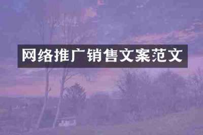 网络推广销售文案范文