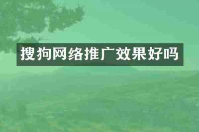搜狗网络推广效果好吗