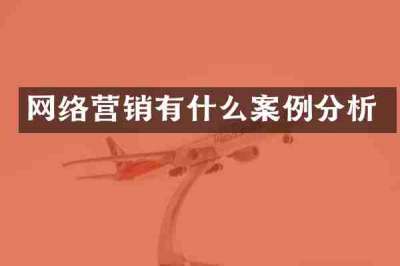 网络营销有什么案例分析