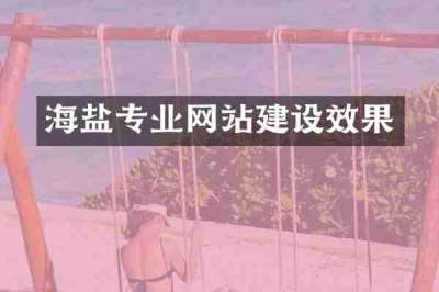 海盐专业网站建设效果