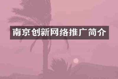 南京创新网络推广简介