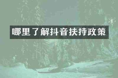 哪里了解抖音扶持政策