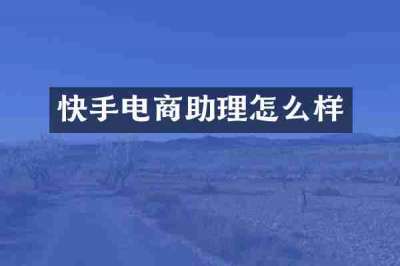 快手电商助理怎么样