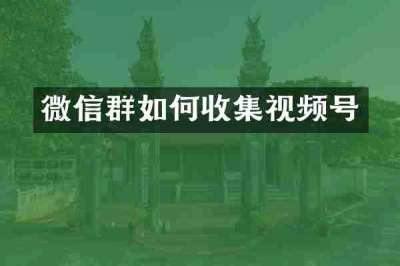 微信群如何收集视频号