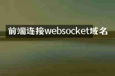 前端连接websocket域名