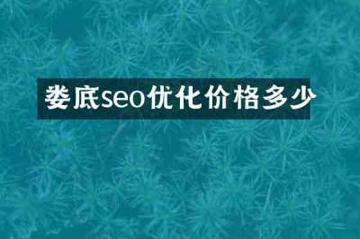 娄底seo优化价格多少