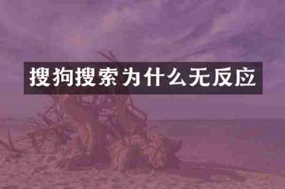 搜狗搜索为什么无反应