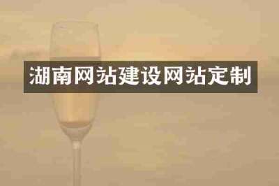 湖南网站建设网站定制