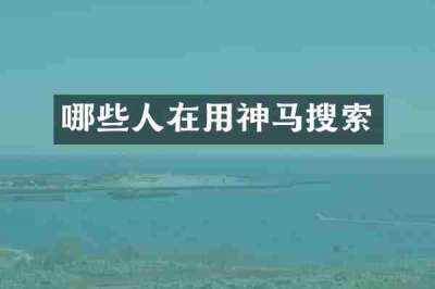 哪些人在用神马搜索