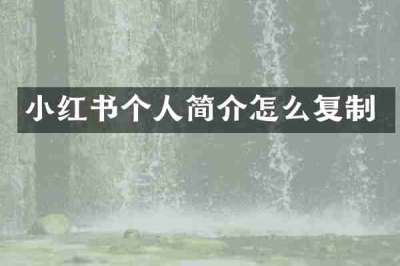 小红书个人简介怎么复制