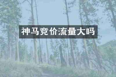 神马竞价流量大吗