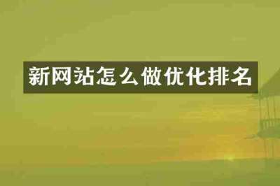 新网站怎么做优化排名