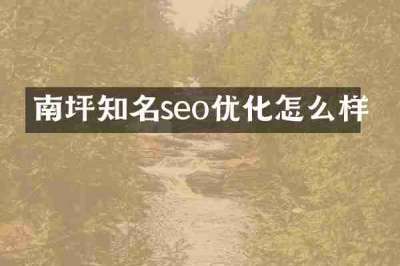南坪知名seo优化怎么样