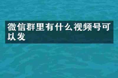 微信群里有什么视频号可以发