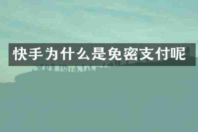 快手为什么是免密支付呢