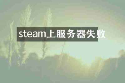 steam上服务器失败