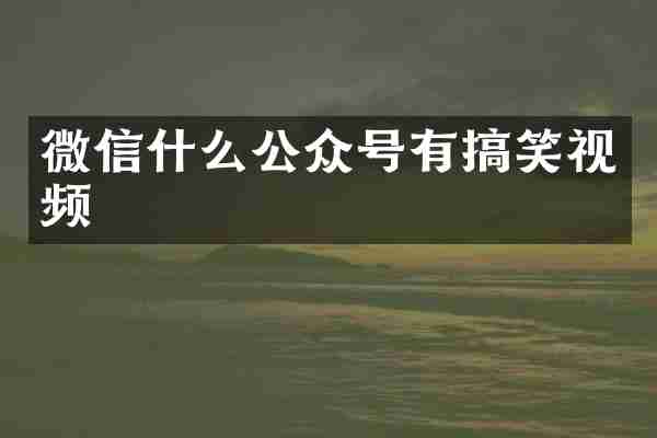 微信什么公众号有搞笑视频