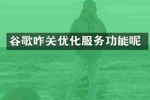 谷歌咋关优化服务功能呢