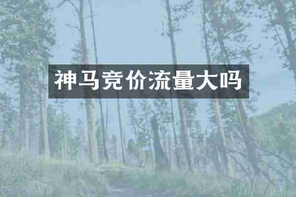 神马竞价流量大吗