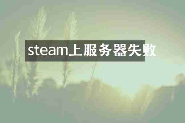 steam上服务器失败