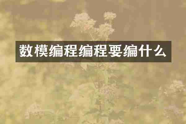 数模编程编程要编什么