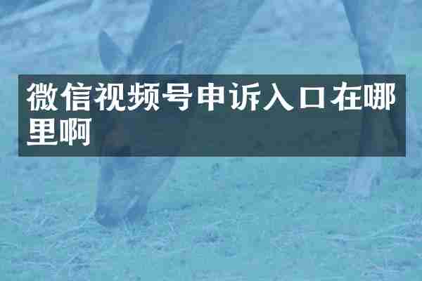 微信视频号申诉入口在哪里啊